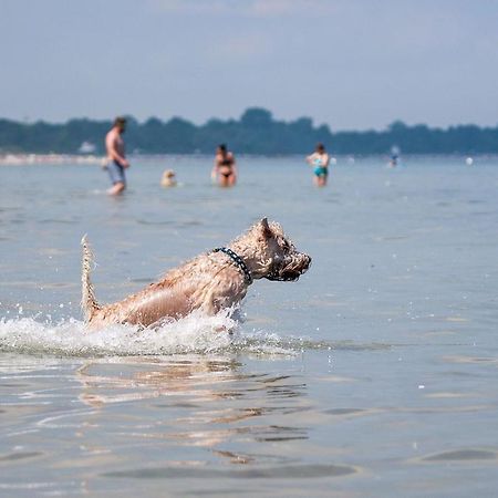 Zur-Alten-Schmiede-I-Links Boltenhagen Kültér fotó